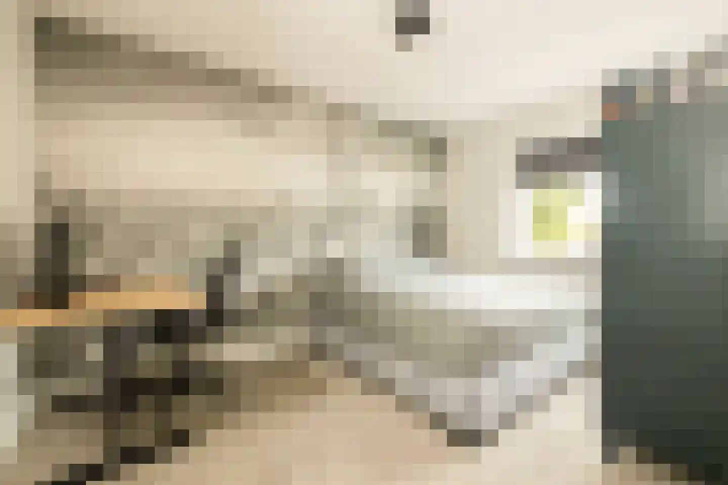 Indische Oceaan 45 Naaldwijk thumbnail 38