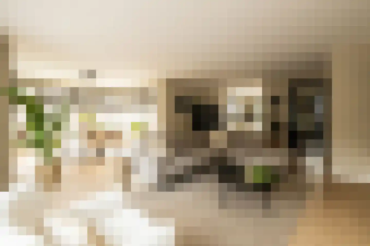 Indische Oceaan 45 Naaldwijk thumbnail 4