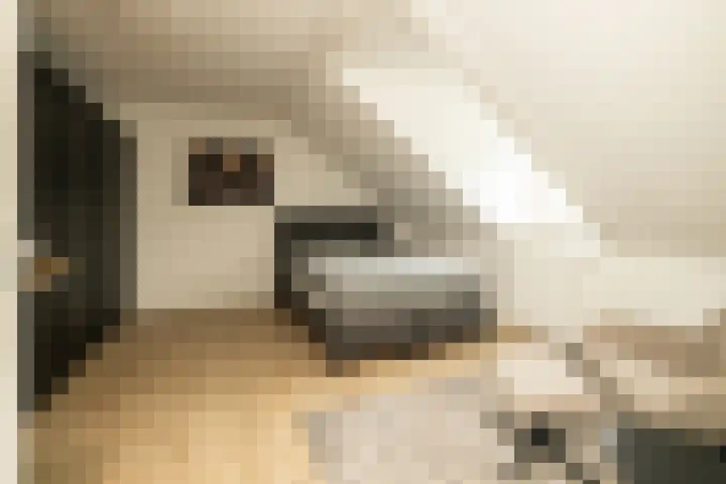 Indische Oceaan 45 Naaldwijk thumbnail 41