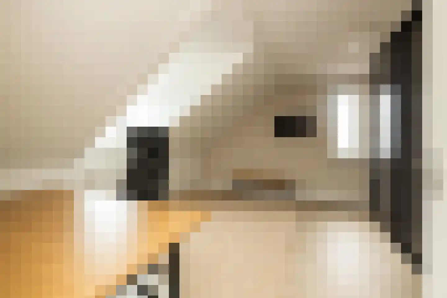 Indische Oceaan 45 Naaldwijk thumbnail 44