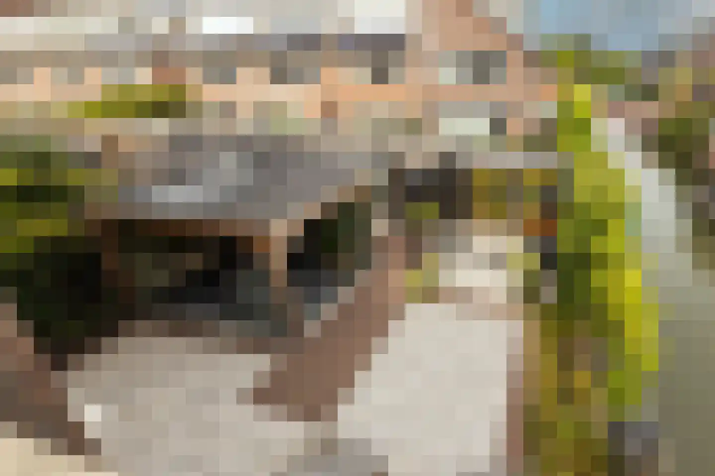 Indische Oceaan 45 Naaldwijk thumbnail 46