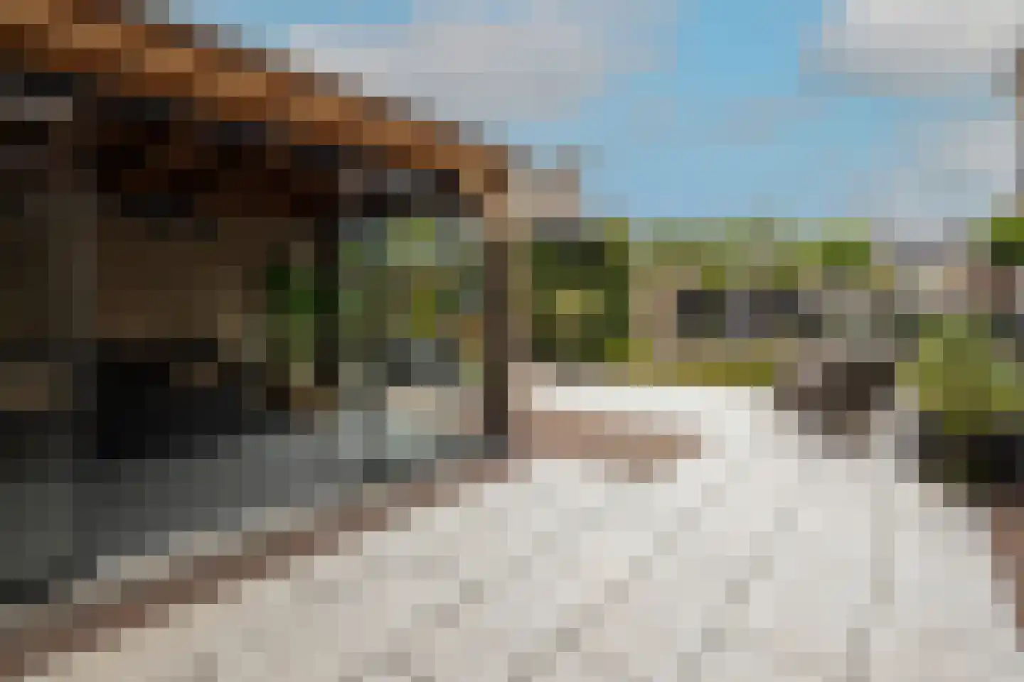Indische Oceaan 45 Naaldwijk thumbnail 48