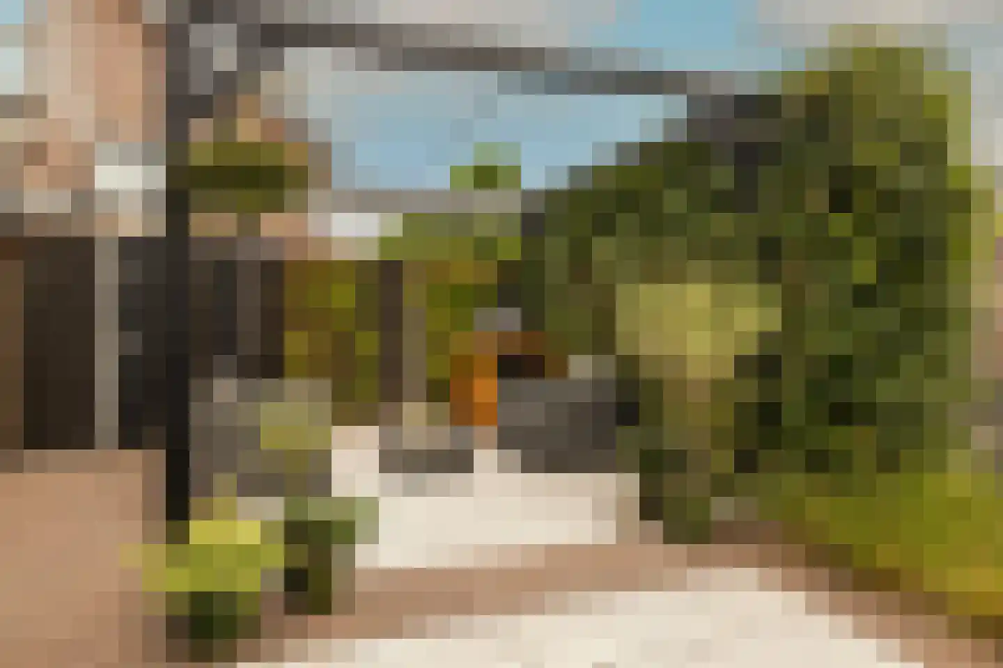 Indische Oceaan 45 Naaldwijk thumbnail 53
