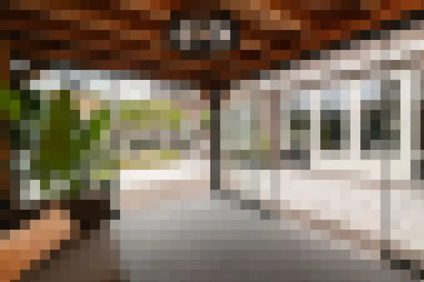 Indische Oceaan 45 Naaldwijk thumbnail 55