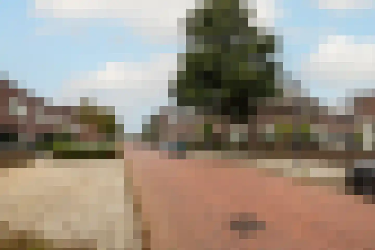 Indische Oceaan 45 Naaldwijk thumbnail 56