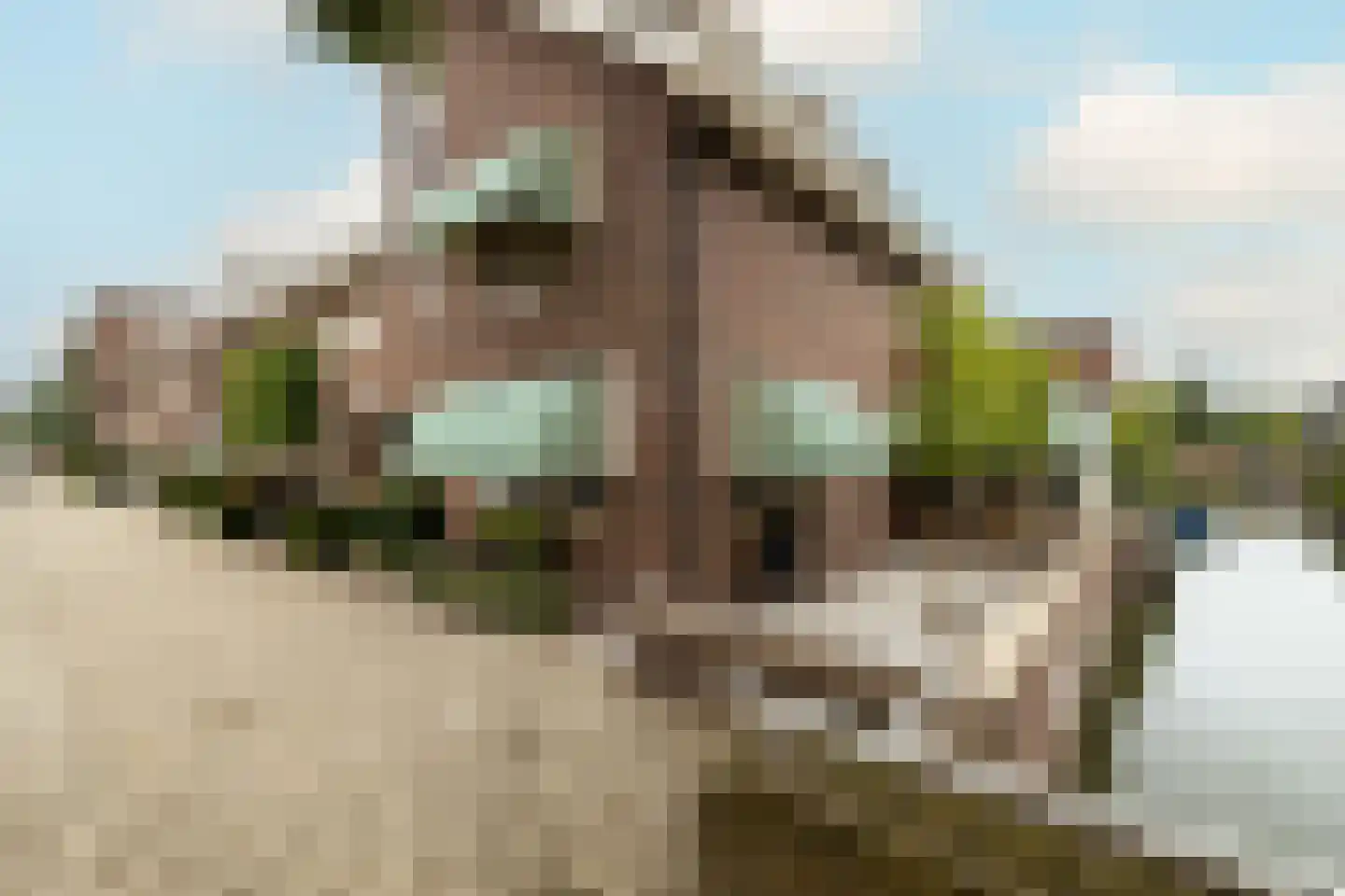 Indische Oceaan 45 Naaldwijk thumbnail 58