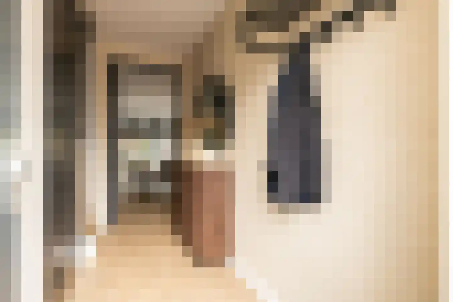 Indische Oceaan 45 Naaldwijk thumbnail 6