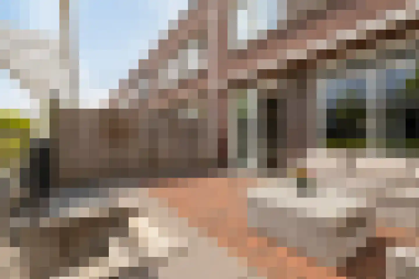 Indische Oceaan 54 Naaldwijk thumbnail 12