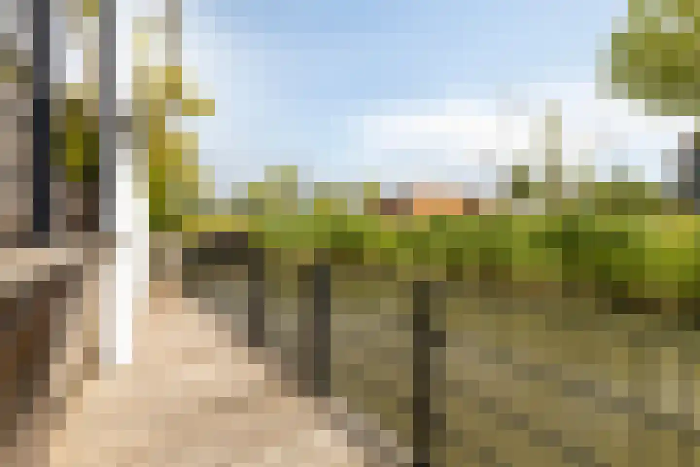 Indische Oceaan 54 Naaldwijk thumbnail 13