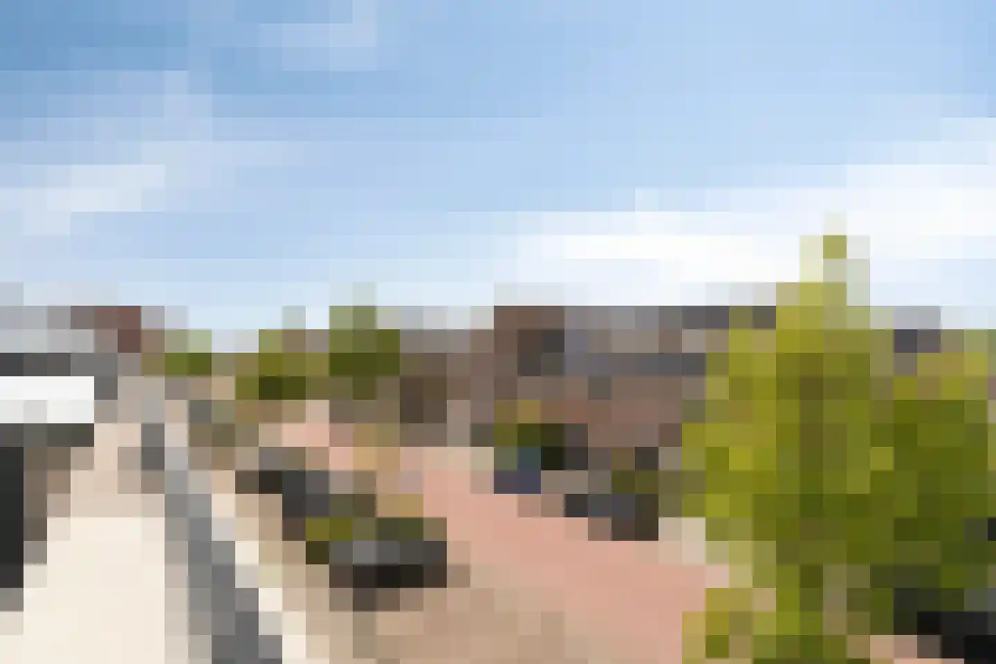 Indische Oceaan 54 Naaldwijk thumbnail 35