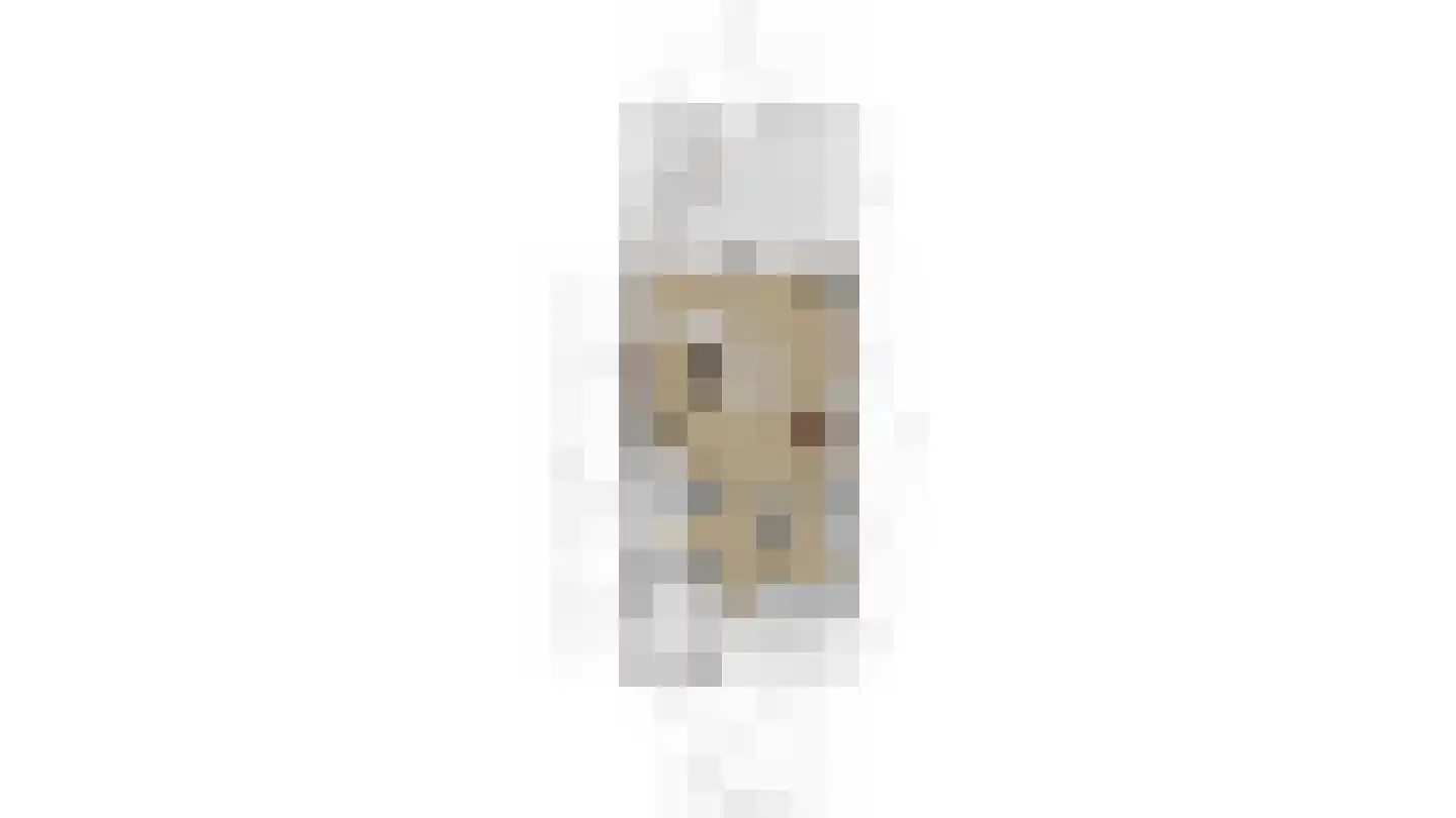 Indische Oceaan 54 Naaldwijk thumbnail 41
