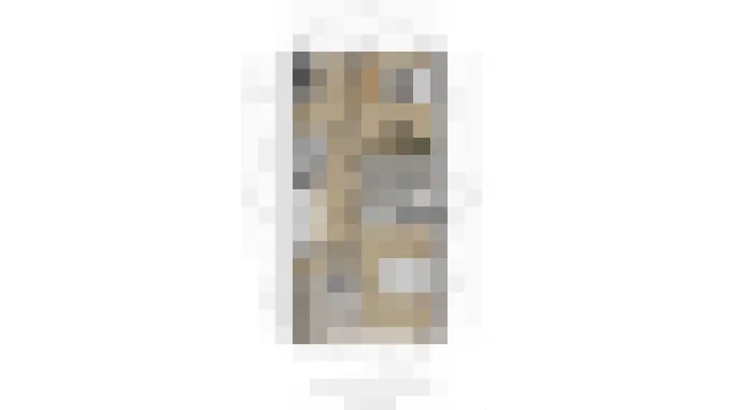 Indische Oceaan 54 Naaldwijk thumbnail 42
