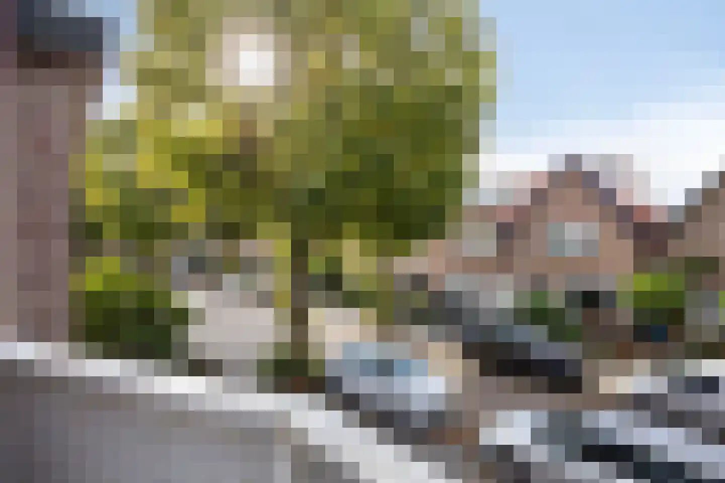 Indischestraat 14 Haarlem thumbnail 36