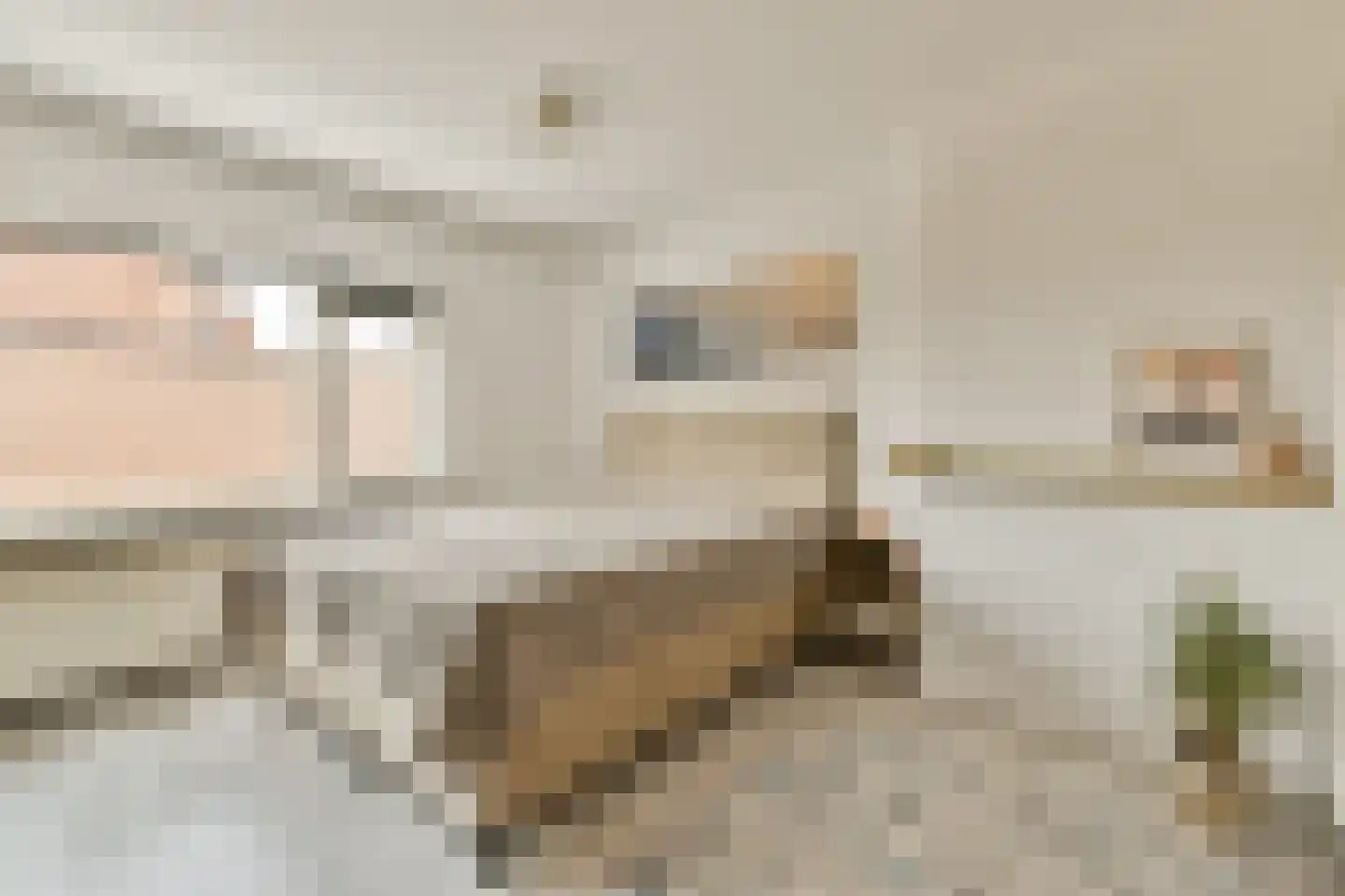Indischestraat 151 Haarlem thumbnail 10