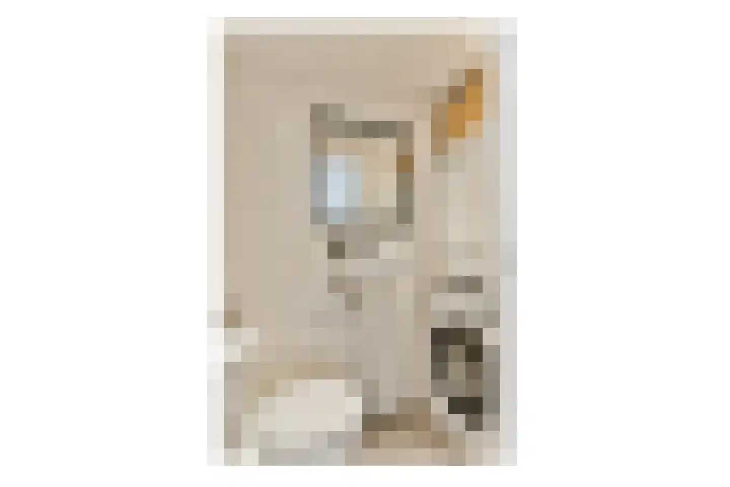 Indischestraat 151 Haarlem thumbnail 20