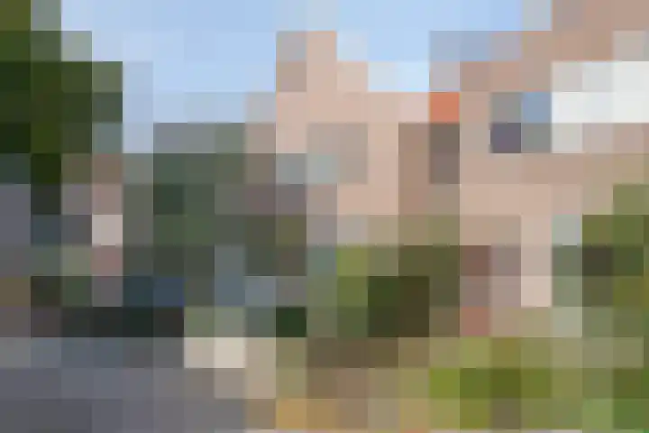 Indischestraat 7 Haarlem thumbnail 42