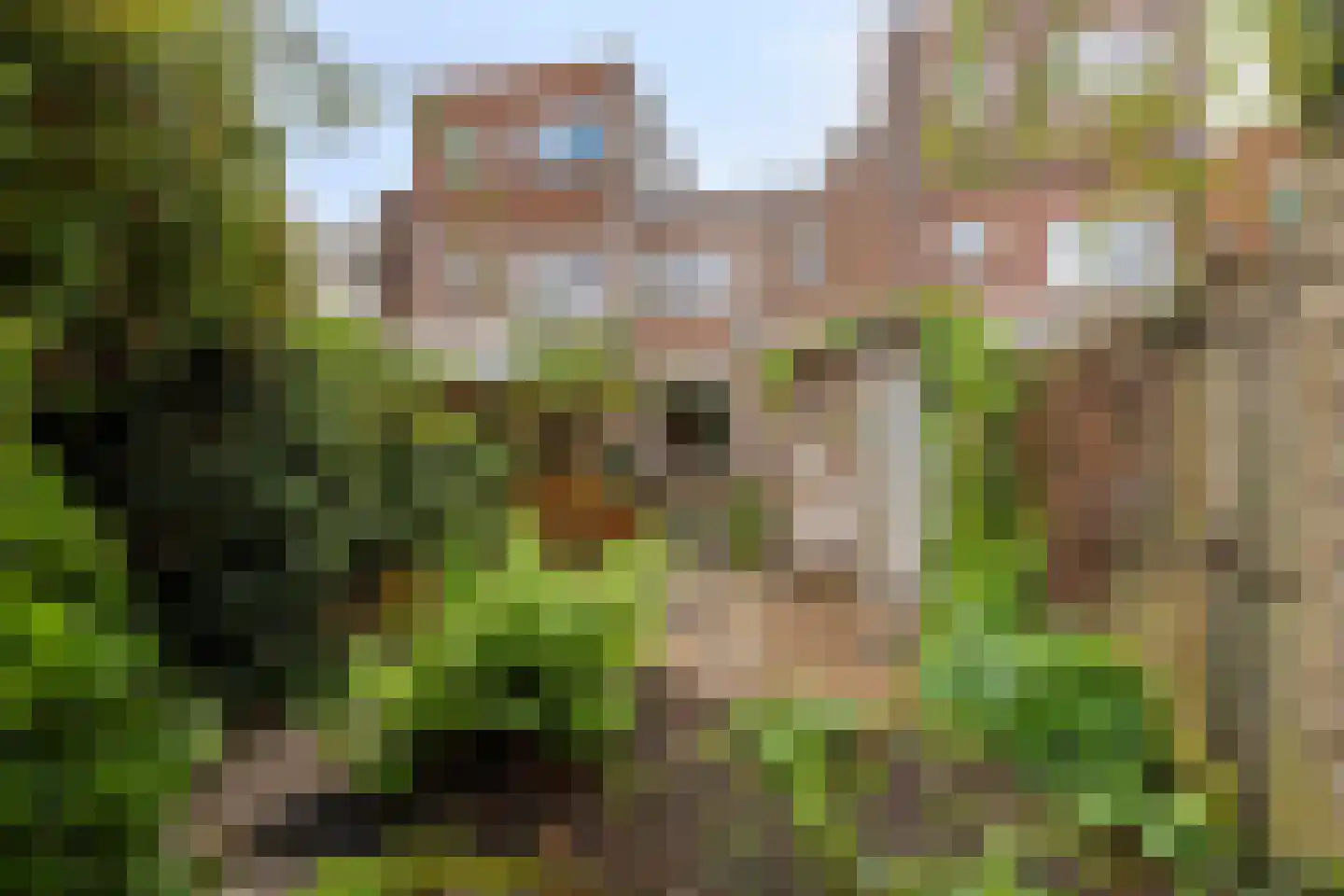 Indischestraat 87 Haarlem thumbnail 28