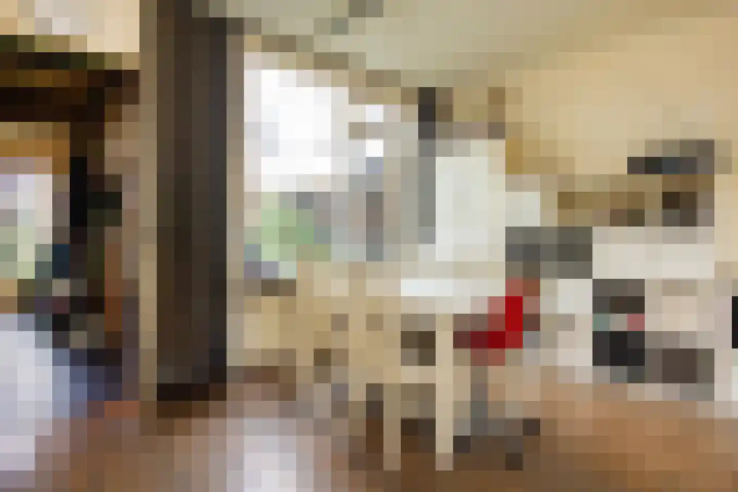 Indischestraat 91 Haarlem thumbnail 6