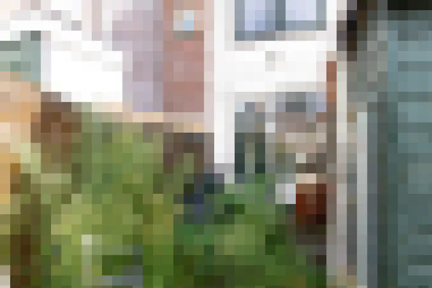 Indischestraat 91 Haarlem thumbnail 8
