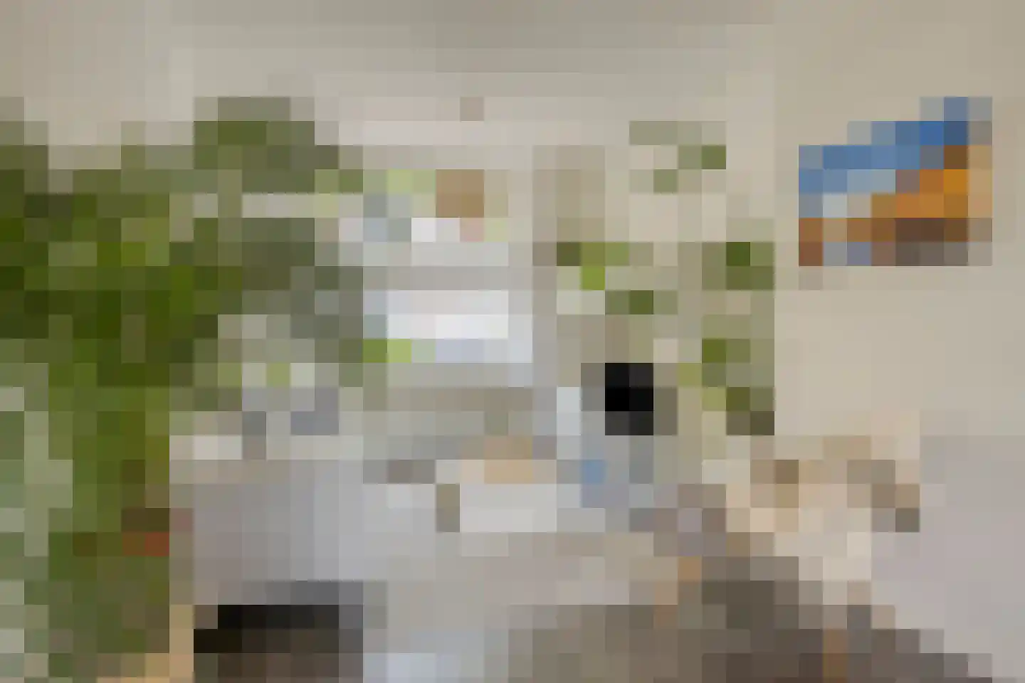 Indischestraat 97 Haarlem thumbnail 4