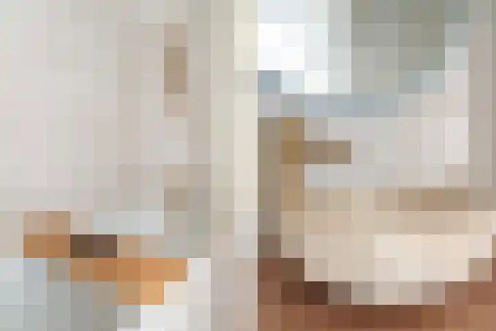 Indus 41 Dordrecht thumbnail 32