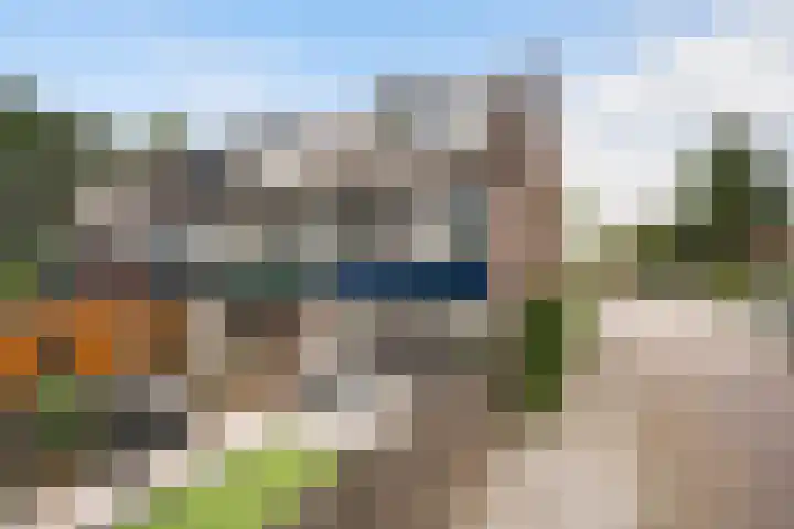 Indus 41 Dordrecht thumbnail 44