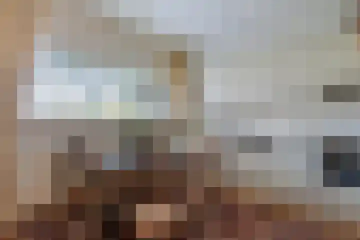 Indus 45 Dordrecht thumbnail 7
