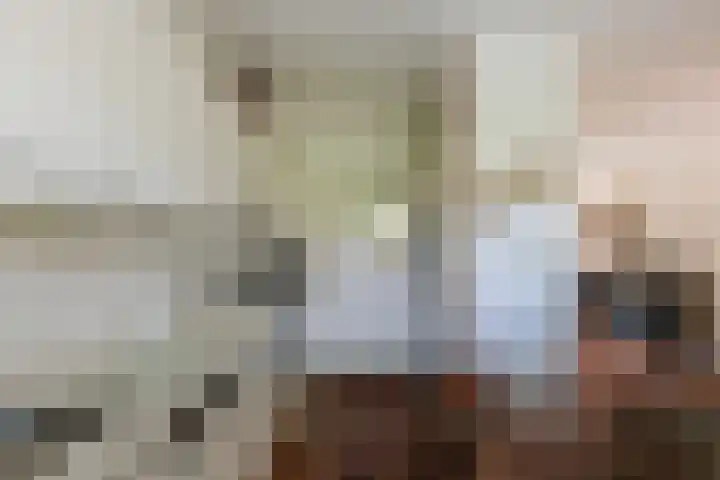 Indus 45 Dordrecht thumbnail 8