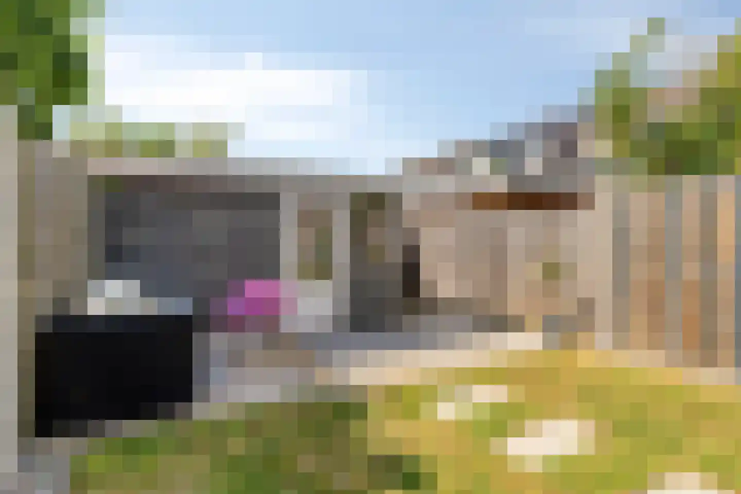 Indus 52 Dordrecht thumbnail 35