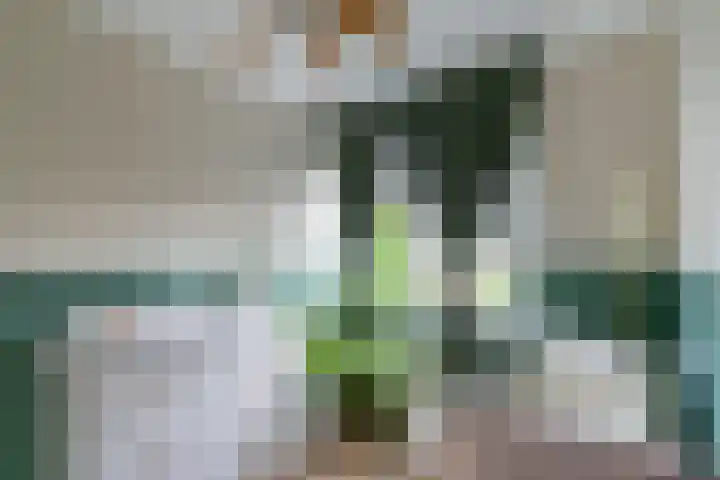 Indusdreef 28 Utrecht thumbnail 30