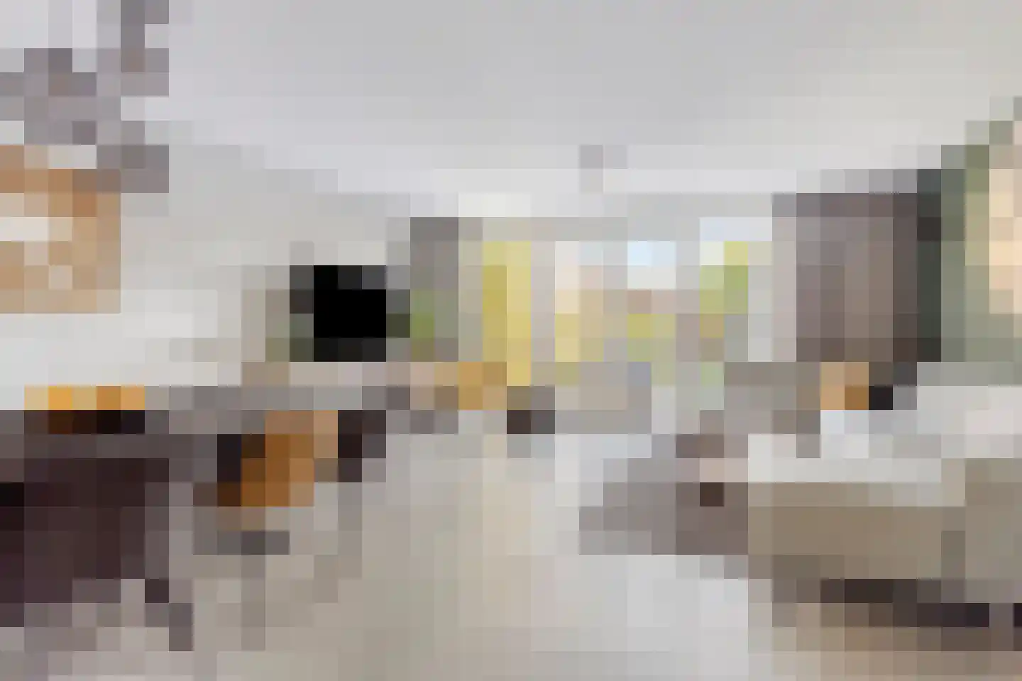 Indusstraat 17 Spijkenisse thumbnail 8