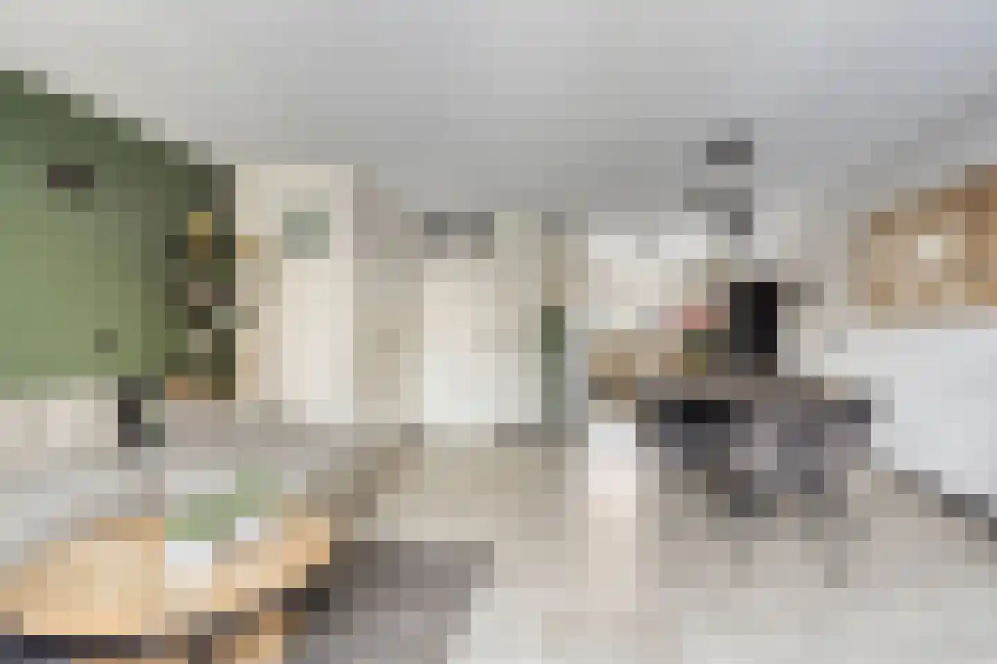 Indusstraat 17 Spijkenisse thumbnail 9