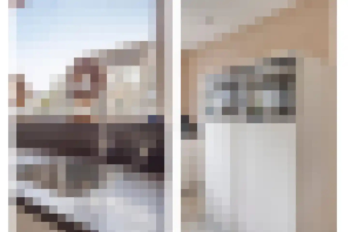 Indusstraat 25 Spijkenisse thumbnail 17