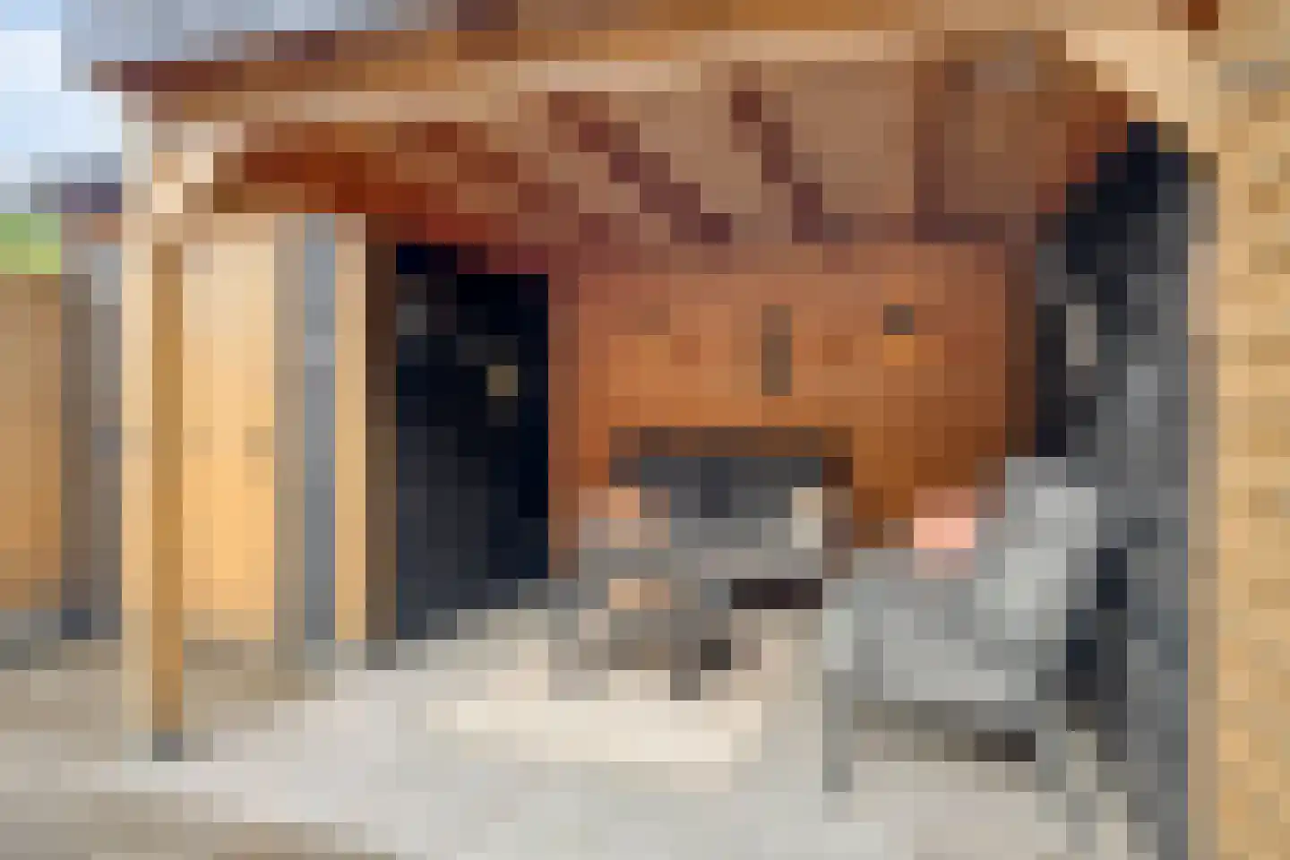 Indusstraat 25 Spijkenisse thumbnail 5