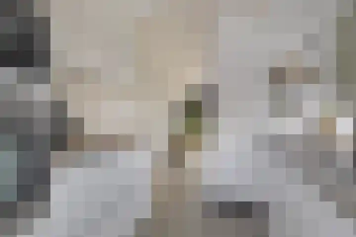 Indusstraat 30 Spijkenisse thumbnail 12