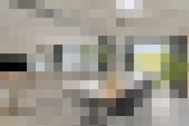 Indusstraat 30 Spijkenisse thumbnail 16