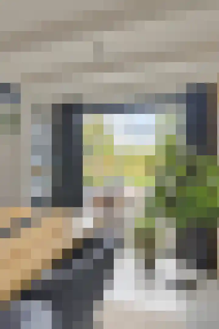 Indusstraat 30 Spijkenisse thumbnail 19