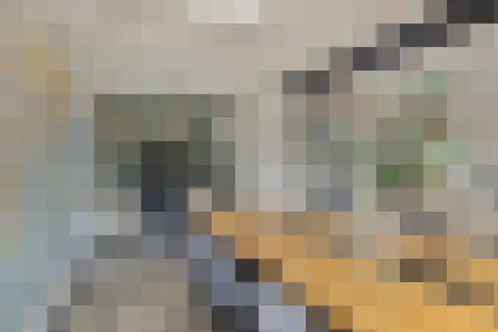 Indusstraat 30 Spijkenisse thumbnail 21