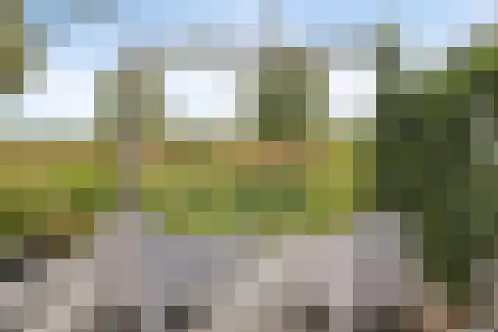 Indusstraat 30 Spijkenisse thumbnail 26