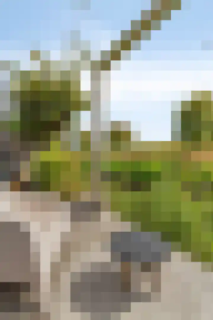 Indusstraat 30 Spijkenisse thumbnail 27