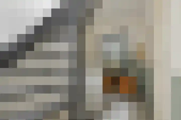 Indusstraat 30 Spijkenisse thumbnail 31