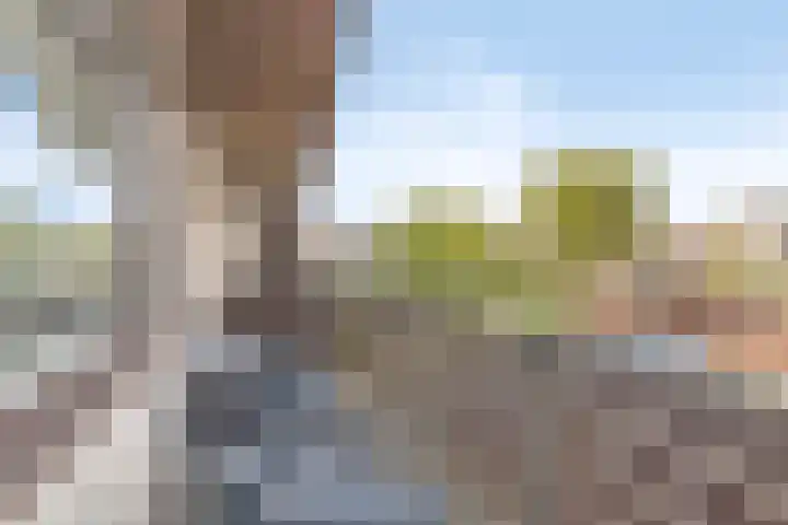 Indusstraat 30 Spijkenisse thumbnail 34
