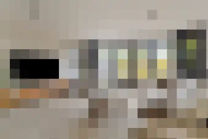 Indusstraat 30 Spijkenisse thumbnail 4