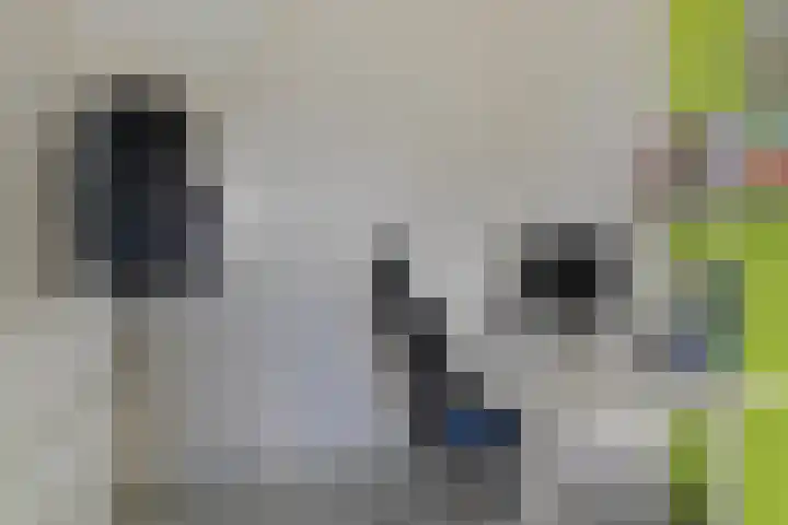 Indusstraat 30 Spijkenisse thumbnail 40