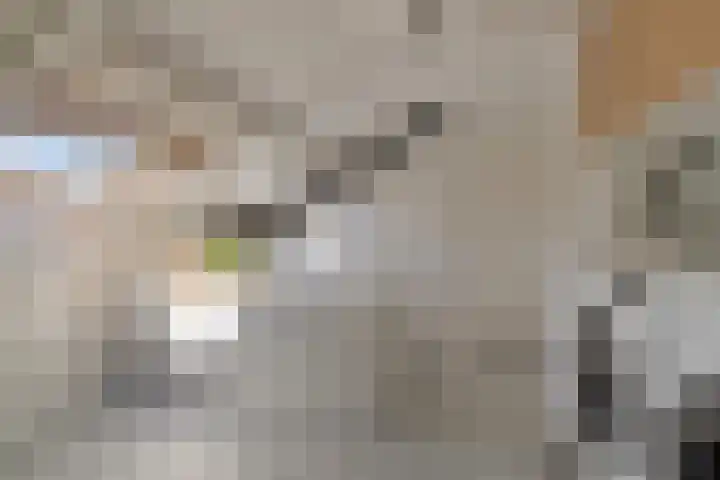 Indusstraat 30 Spijkenisse thumbnail 44