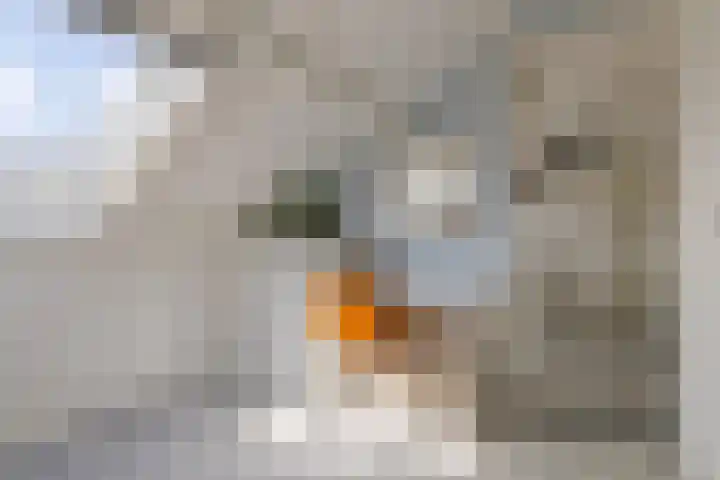 Indusstraat 30 Spijkenisse thumbnail 47