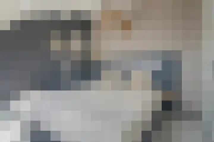 Indusstraat 30 Spijkenisse thumbnail 49
