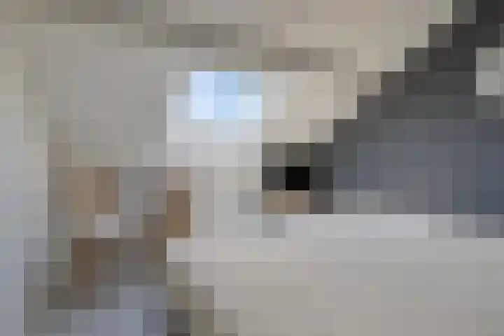 Indusstraat 30 Spijkenisse thumbnail 50