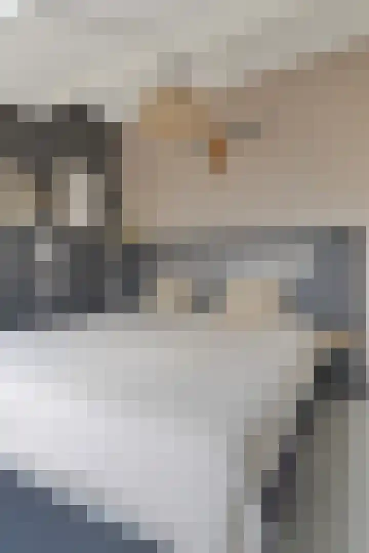 Indusstraat 30 Spijkenisse thumbnail 51