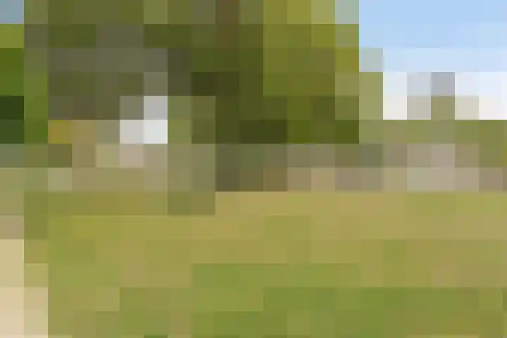 Indusstraat 30 Spijkenisse thumbnail 55